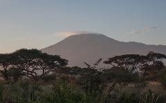 A scenic landscape featuring a mountain with a cloud formation over its peak, framed by trees and vegetation in the foreground.