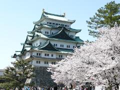 A Japanese castle with a green roof sits in front of cherry blossoms on a bright, sunny day.