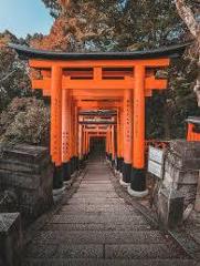 Kumano Kodo & Kansai Heritage Tour in Japan (Ise, Nachi, Nara & Kyoto)