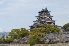 A Japanese castle towers over trees and a stone wall, with cherry blossoms blooming and a modern building visible in the background.