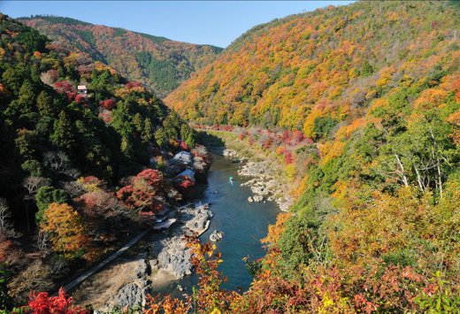 Kyoto Helicopter Tour - Autumn Famous Forest and Temples