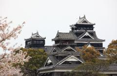 The Kumamoto Castle in Japan is surrounded by green and orange trees and cherry blossoms, under an overcast sky.