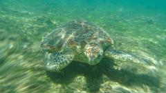 The Best of Mayotte Island: Half Day Heritage Discovery Tour