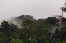 Panama City and Darien Gap The image shows a lush, green rainforest with mist swirling around the treetops, creating a tranquil, ethereal atmosphere.