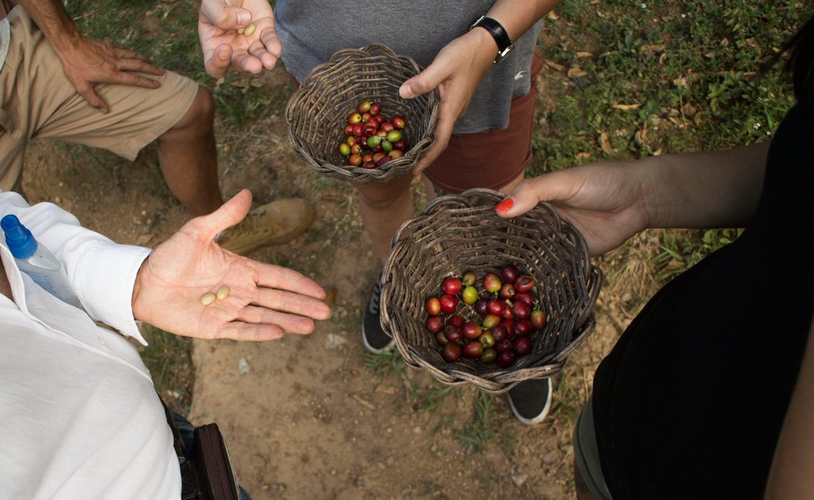 Coffee Tour in Cali