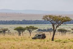 A safari vehicle drives through the grassy plains of the African savanna, dotted with trees, with hills in the hazy distance.