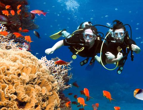 Two scuba divers explore a vibrant coral reef teeming with colorful fish in clear blue water.