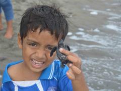 A young boy on a beach smiles widely while holding a newly-hatched sea turtle in his hand, the ocean waves gently lapping in the background.