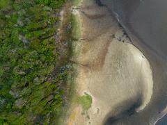 An aerial view shows a lush green forest meeting a sandy, damp shore that curves into dark water.