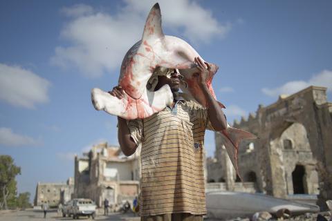 Tur privat de 3 zile în Mogadiscio (istorie, cultură și coastă) A man holds a bloody shark on his shoulders amidst a war-torn city in Mogadishu.