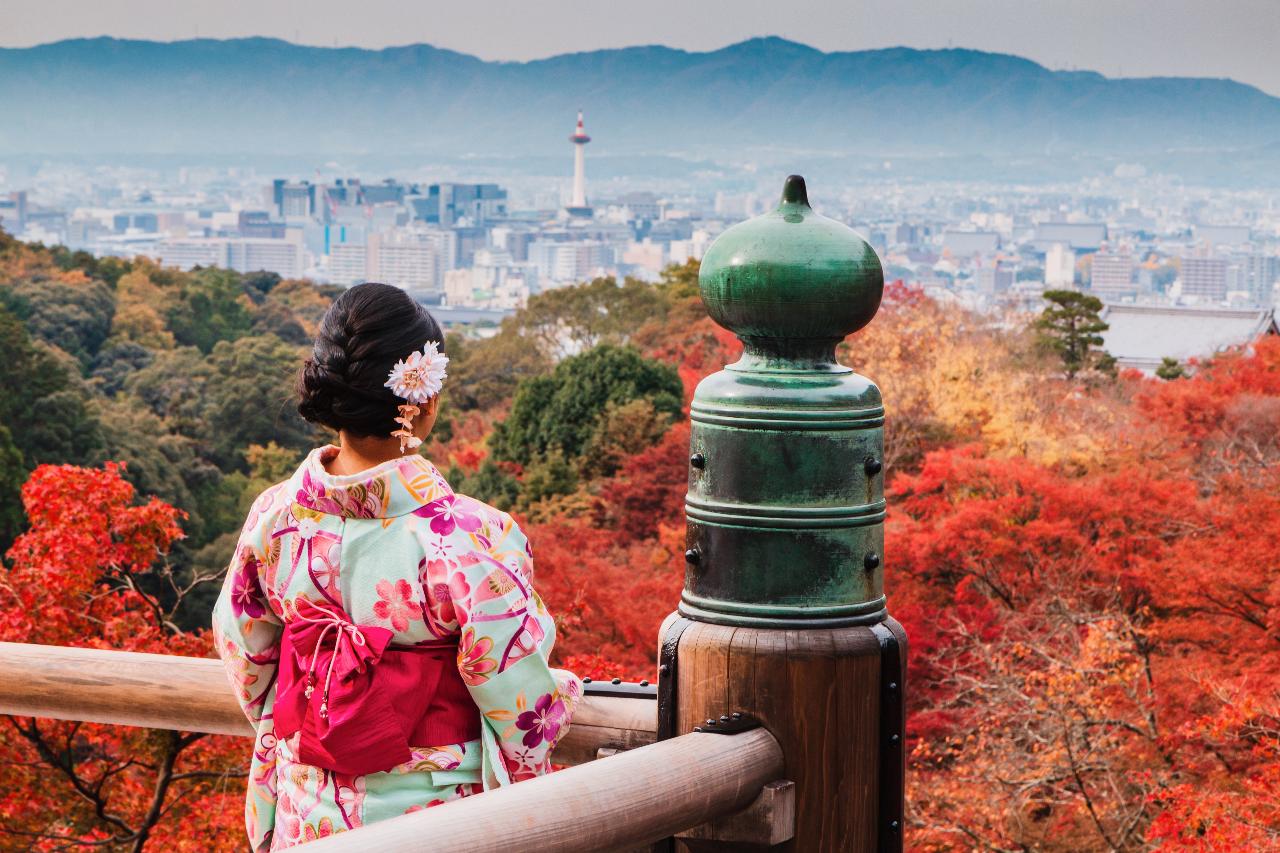 Kyoto Half-day & Day Tour with Private Car