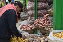 Day Tour in Bazurto Market A man in a black jacket and cap examines a variety of potatoes in baskets and bags at a market stall.