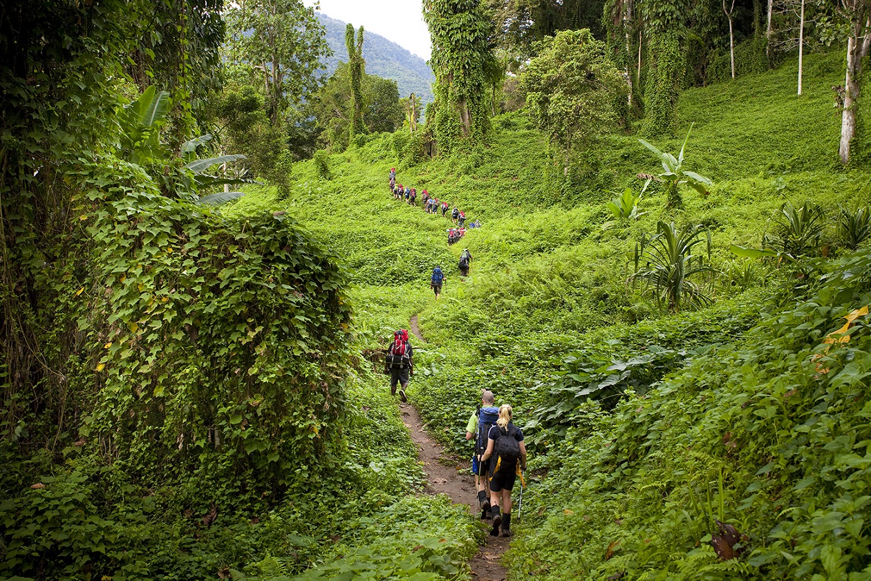 Kokoda Trail Tour Package - Best Value Kokoda Trek in PNG