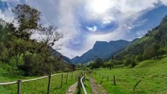 Gran Tour incluyendo Bogotá, Medellín, Nuquí y Valle del Cocora - 11 Días A winding dirt path with a wooden fence stretches into a lush green valley surrounded by mountains under a bright, cloudy sky.