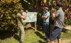 A tour guide explains a coffee history map to three visitors in a lush, sunny garden setting.