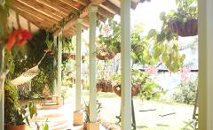 A charming porch with hanging plants and a hammock creates a tranquil, inviting space.