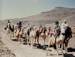 A caravan of people on camels travels through a desert landscape, with a rocky mountain in the background.