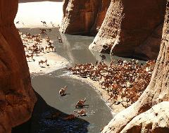 A large group of camels gather near a river within a canyon.