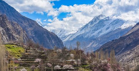 A scenic view of terraced fields and blooming trees nestled between towering mountains under a partly cloudy blue sky.