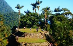 Lost City Trek Sierra Nevada Expedition (4 Days / 3 Nights) A group of tourists explore ancient stone terraces surrounded by lush green jungle and tall palm trees under a clear blue sky.