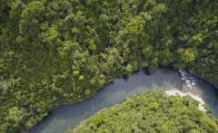 An aerial shot captures a river flowing through a lush, green forest, with a small waterfall visible in the dense foliage.