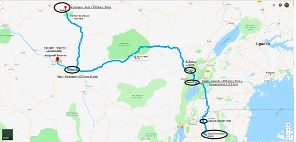 Kahuzi Biega National Park, Domain de Chasse, Yangambi, Nyungwe Forest - 14 Days from Kigali