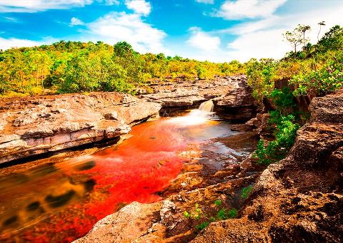Caño Cristales River of Five Colors Experience (4 Days / 3 Nights) A vibrant river, colored red and orange by aquatic plants, flows through a rocky gorge under a bright blue sky.