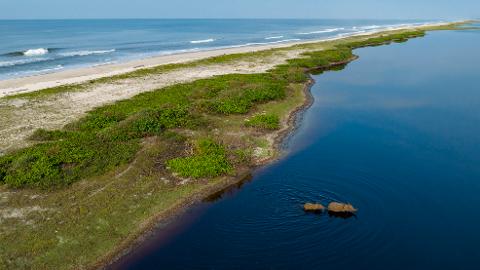 Two elephants swim through a dark body of water next to a lush green coastline with a sandy beach and ocean in the background.