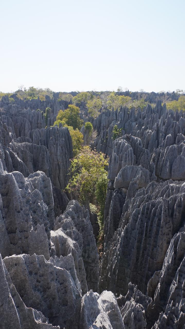 Grand Tsingy De Bemaraha and Baobab Avenue from Morondava 3 Day Tour