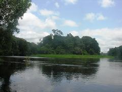 Une rivière tranquille coule à travers une forêt tropicale luxuriante et verte sous un ciel nuageux.