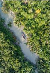 An aerial view captures a narrow river meandering through a dense, lush green forest, with a small boat carrying people gliding along the waterway.