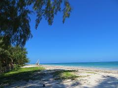 A sunny beach scene with a sailboat docked on the sand, framed by lush trees against a clear blue sky.