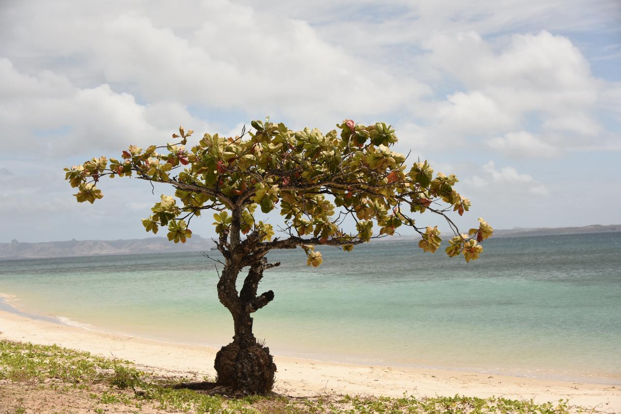 9-Day Northern Madagascar Flora and Fauna Discovery Tour