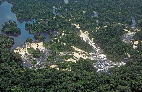 Aerial view of lush green jungle surrounding a powerful river with waterfalls and rocky outcrops.