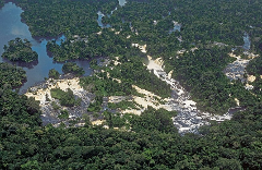 Aerial view of lush green jungle surrounding a powerful river with waterfalls and rocky outcrops.