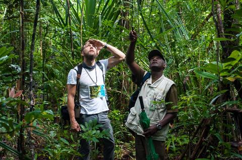 Two men, a tourist and a local guide, are looking up at the canopy in the lush Masoala National Park, surrounded by dense rainforest vegetation.