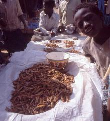 A boy is selling fried insects at an outdoor market, with piles of bugs on a white sheet and some in a colorful bowl.