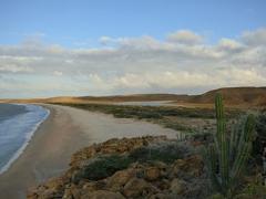 Here's a description of the image:A scenic view of a sandy beach meeting the ocean under a partly cloudy sky, with desert vegetation and rocky formations in the foreground.