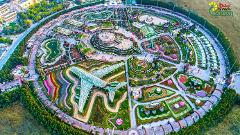 This aerial view showcases the Dubai Miracle Garden, a circular park filled with vibrant flower displays, including a large plane made of flowers.