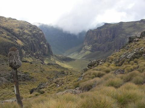 A scenic view of a mountain valley filled with grassy vegetation, enclosed by steep cliffs partially obscured by clouds.