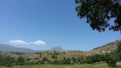 A scenic landscape with a grassy field, trees, and hills leading up to a snow-capped mountain range under a clear blue sky with a few scattered clouds.