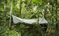 A person is relaxing in a hammock under a tarp in a lush, green forest.