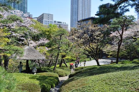Tokyo & Kyoto Private Garden Tour: A Complete 6-Day Journey Through Japan's Most Beautiful Gardens A serene Japanese garden with lush greenery, blossoming trees, a traditional thatched-roof structure, and distant city buildings under a clear blue sky.
