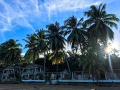 A tropical scene with palm trees lining the beach and buildings, under a partly cloudy blue sky. Sun rays peek through the foliage.