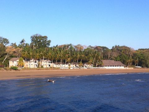 A scenic view of a tropical coastline with a sandy beach, lined with palm trees and buildings, alongside a blue ocean with a small boat.