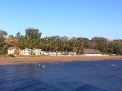 A scenic view of a tropical coastline with a sandy beach, lined with palm trees and buildings, alongside a blue ocean with a small boat.