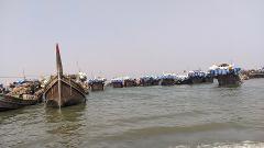 A fleet of fishing boats laden with blue and white containers is anchored in the water under a clear sky.