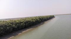 A panoramic view of a wide, calm river flowing alongside a dense mangrove forest under a hazy sky.