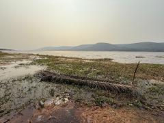 Five day fishing for goliath tigerfish in Congo Five day fishing for goliath tigerfish in Congo