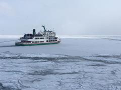A large passenger ferry navigates through a frozen sea covered in ice floes on a hazy day.